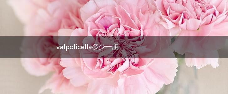 valpolicella多少一瓶,第1张