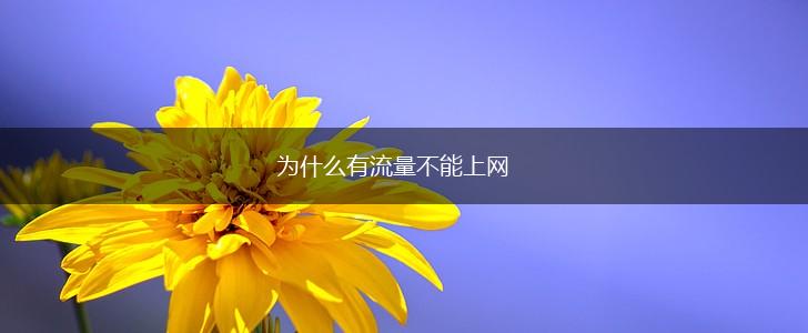 为什么有流量不能上网,第1张