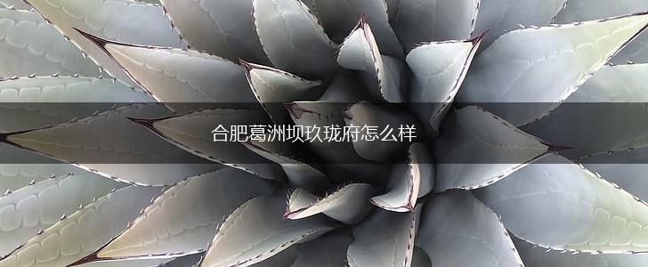 合肥葛洲坝玖珑府怎么样,第1张