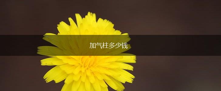 加气柱多少钱,第1张