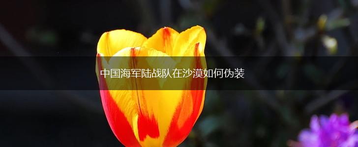 中国海军陆战队在沙漠如何伪装,第1张