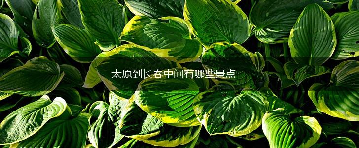 太原到长春中间有哪些景点,第1张