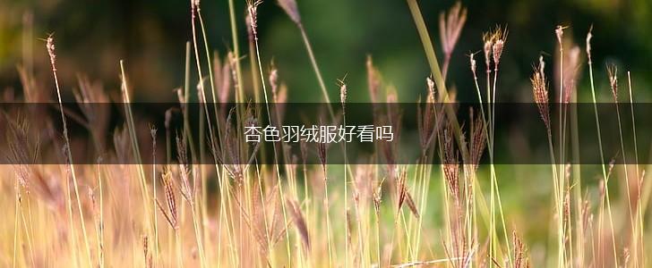 杏色羽绒服好看吗,第1张
