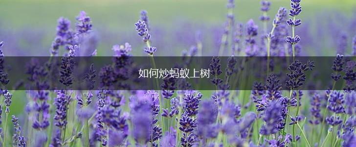 如何炒蚂蚁上树,第1张