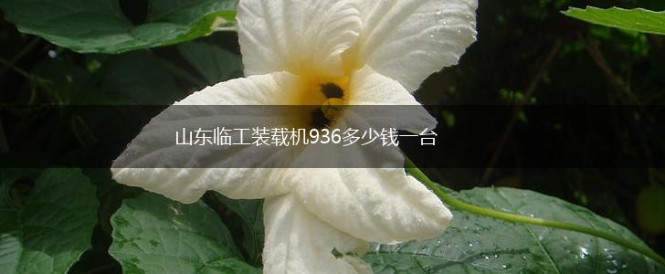 山东临工装载机936多少钱一台,第1张
