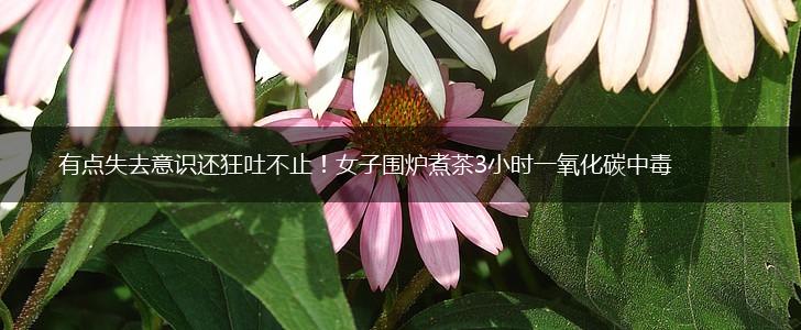 有点失去意识还狂吐不止！女子围炉煮茶3小时一氧化碳中毒,第1张