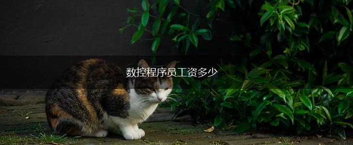 数控程序员工资多少,第1张