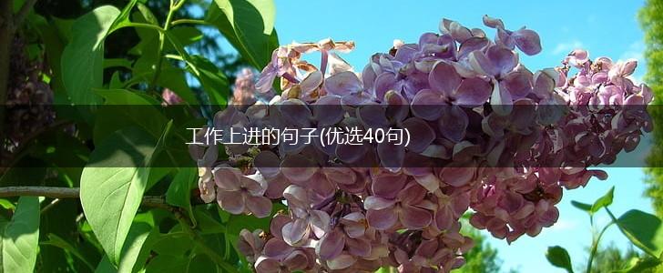 工作上进的句子(优选40句),第1张