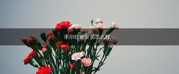 来尔佳昵女装怎么样,第1张