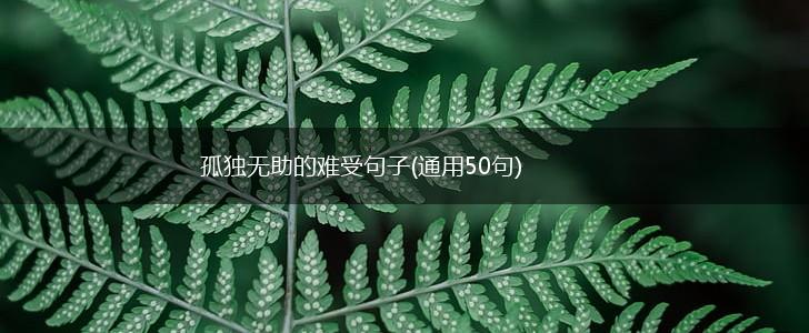 孤独无助的难受句子(通用50句),第1张