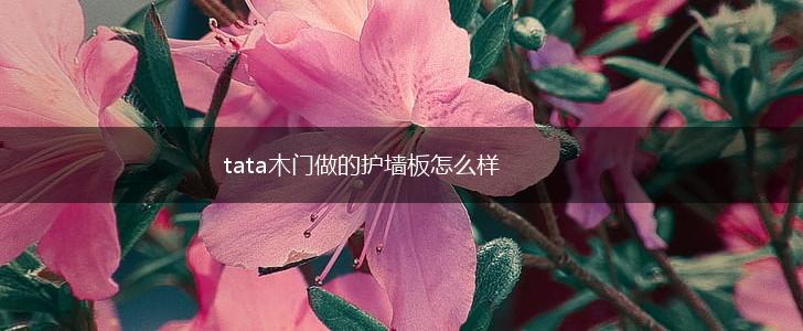 tata木门做的护墙板怎么样,第1张