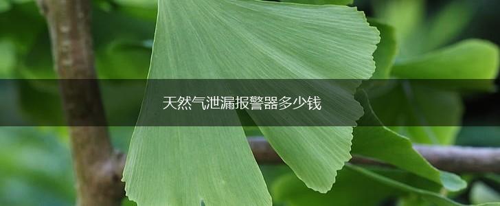 天然气泄漏报警器多少钱,第1张