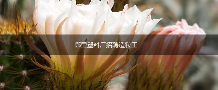 哪里塑料厂招聘造粒工,第1张