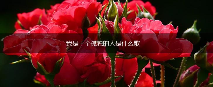 我是一个孤独的人是什么歌,第1张