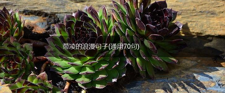 带凌的浪漫句子(通用70句),第1张