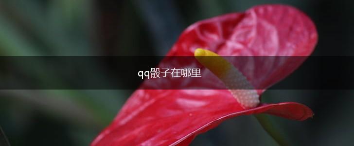 qq骰子在哪里,第1张