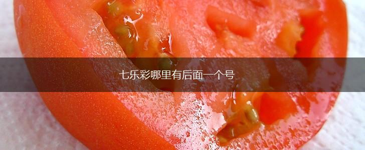 七乐彩哪里有后面一个号,第1张