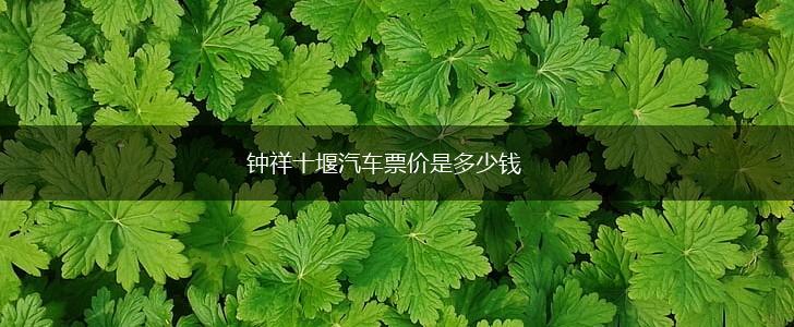 钟祥十堰汽车票价是多少钱,第1张
