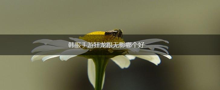 韩服手游狂龙跟无影哪个好,第1张