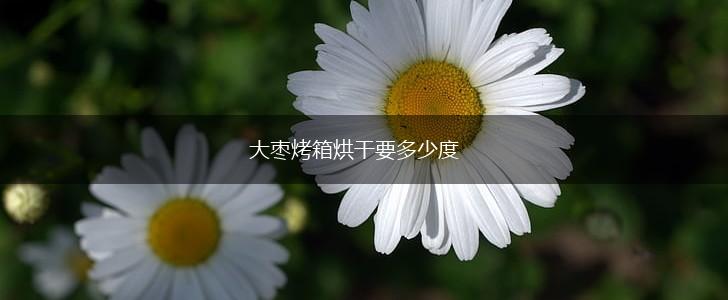 大枣烤箱烘干要多少度,第1张