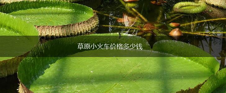 草原小火车价格多少钱,第1张