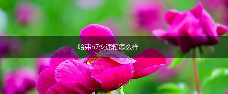 哈弗h7变速箱怎么样,第1张