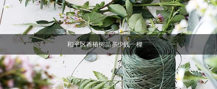 和平区香椿树苗多少钱一棵,第1张