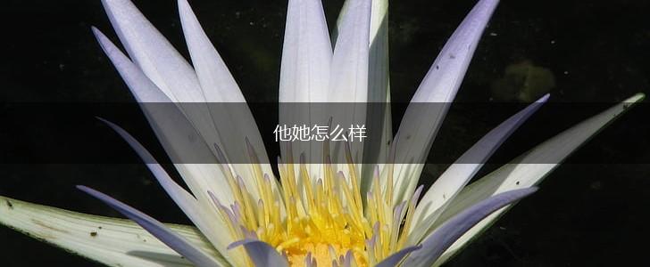 他她怎么样,第1张