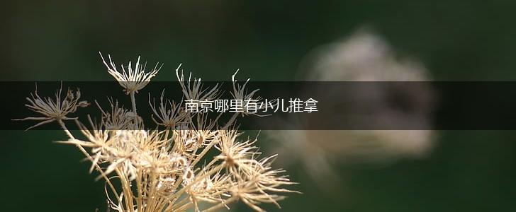 南京哪里有小儿推拿,第1张
