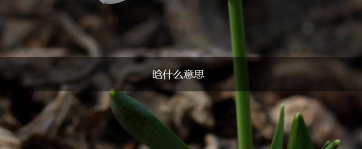 晗什么意思,第1张