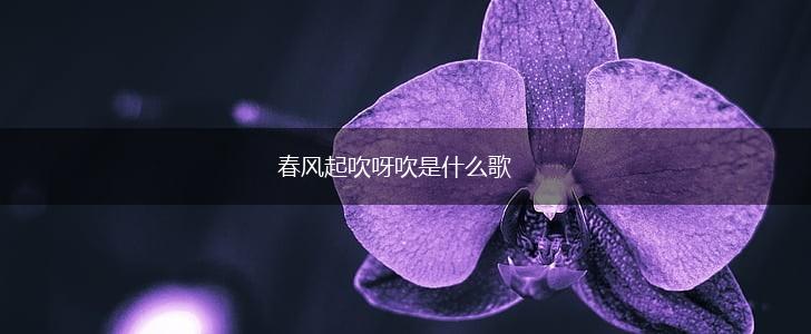 春风起吹呀吹是什么歌,第1张