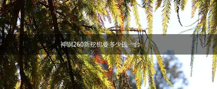 神钢260新挖机要多少钱一台,第1张