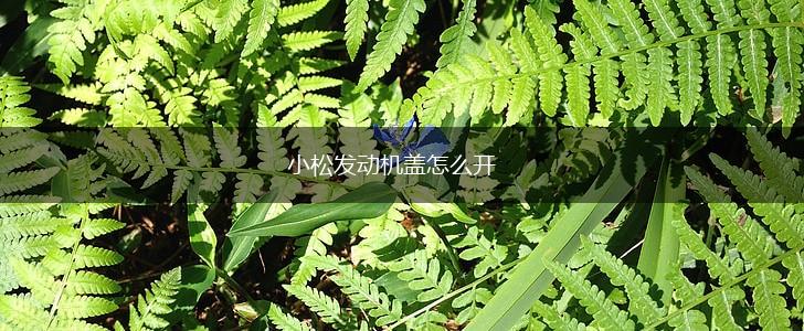 小松发动机盖怎么开,第1张