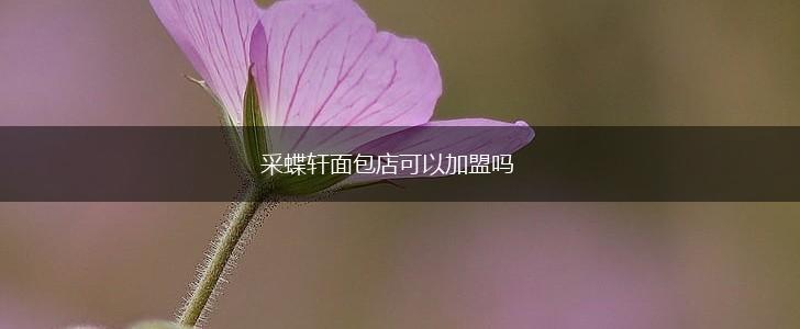 采蝶轩面包店可以加盟吗,第1张