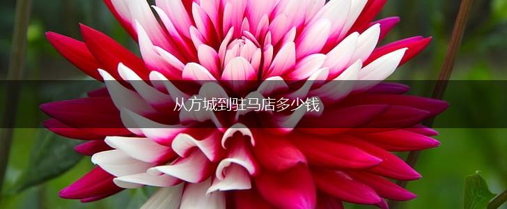 从方城到驻马店多少钱,第1张