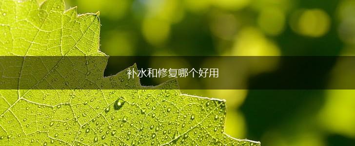 补水和修复哪个好用,第1张
