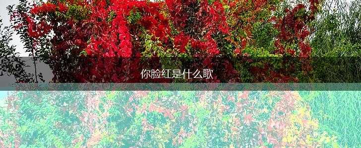 你脸红是什么歌,第1张