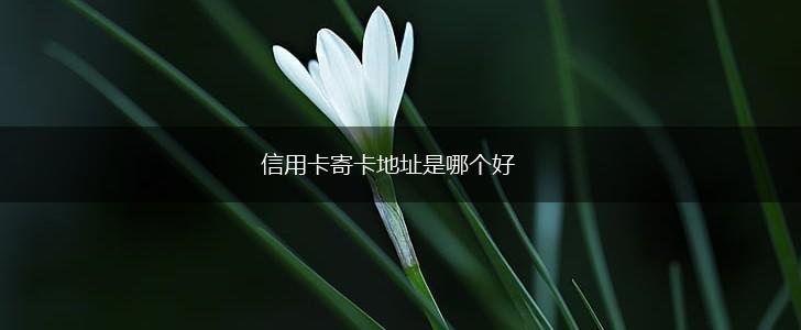 信用卡寄卡地址是哪个好,第1张