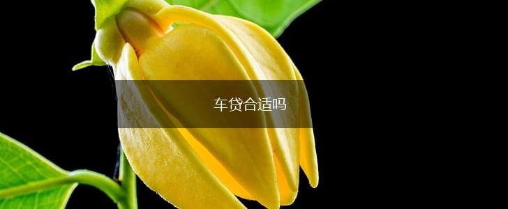 车贷合适吗,第1张