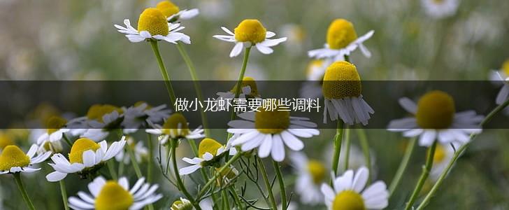 做小龙虾需要哪些调料,第1张