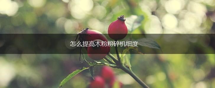 怎么提高木粉粉碎机细度,第1张