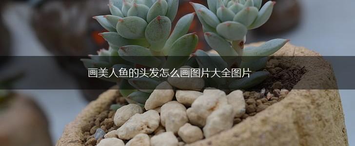 画美人鱼的头发怎么画图片大全图片,第1张