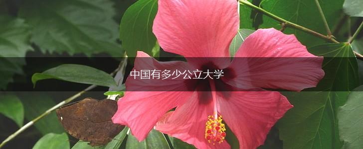 中国有多少公立大学,第1张