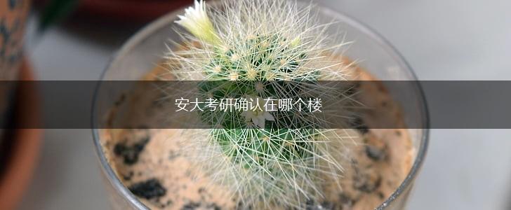 安大考研确认在哪个楼,第1张