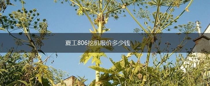 夏工806挖机报价多少钱,第1张
