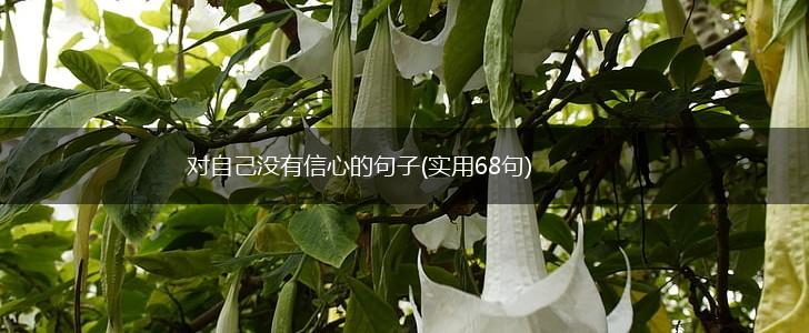 对自己没有信心的句子(实用68句),第1张