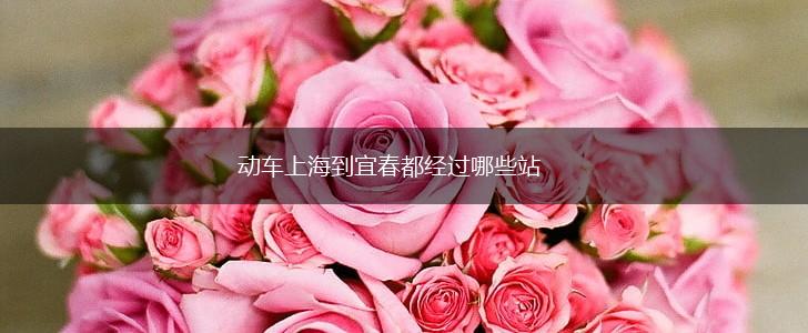 动车上海到宜春都经过哪些站,第1张