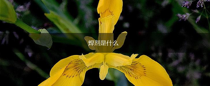 焊剂是什么,第1张