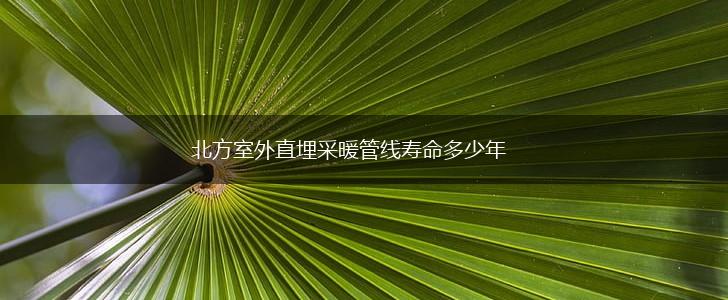 北方室外直埋采暖管线寿命多少年,第1张