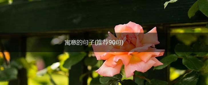 寓意的句子(推荐90句),第1张